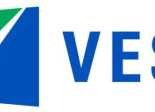 Logo VESA