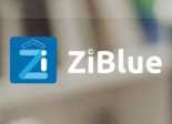 logo ZiBlue
