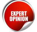 Expert Opinion