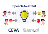 Ceva-Fluent