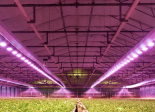 Energous ams Osram agriculture 2.0