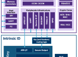 intrinsic ID Synopsys