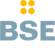 BSE Electronic