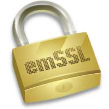 emSSL Segger