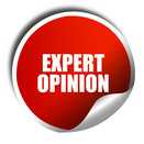 Expert Opinion