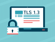 Oryx Cyclone SSL TLS 1.3