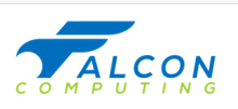 Xilinx Falcon Computing