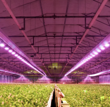 Energous ams Osram agriculture 2.0