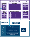 intrinsic ID Synopsys