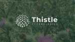 thistle