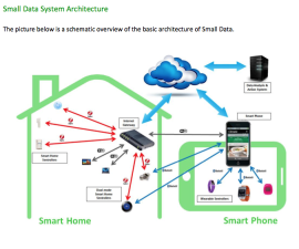 Green Peak White Paper Small Data